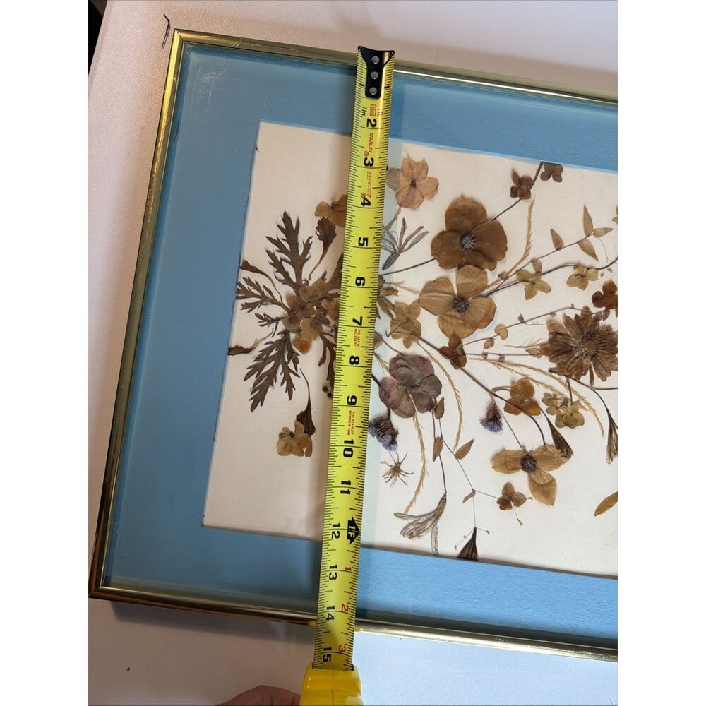 Vintage Gold Framed Pressed Flower Art Real Dried Botanical Wildflower WallDecor - Picture 7 of 7